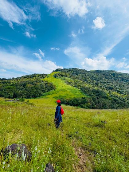 A trekker in a field of wildflowers, walking towards the mountain.