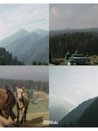 A collage of the breathtaking Kashmiri landscapes, from misty mountains to grazing ponies. It showcases the stunning environment that served as their canvas.