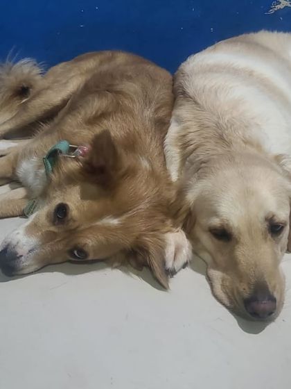 Two friends resting their heads together. These quiet moments of connection are so precious.