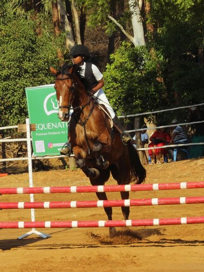 A powerful action shot from the Auroville Horse Show, capturing the peak moment of a jump and the athleticism of both horse and rider.