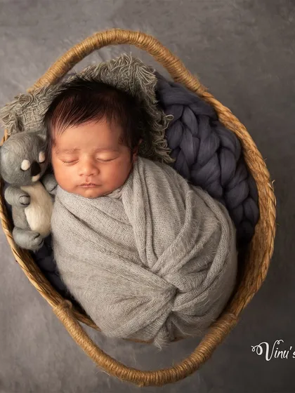 A simple and classic basket pose. The baby is swaddled in a neutral grey wrap and accompanied by a small koala toy, creating a sweet and understated portrait.