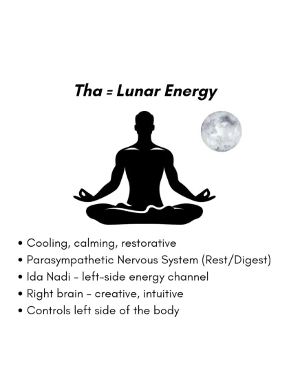 Rohit N - Yoga Teacher Training The Science of Yoga & Ayurveda photo 5