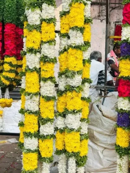 More examples of our fresh flower garlands. These yellow and white chrysanthemum garlands are popular for poojas, temple decorations, and general event decor.