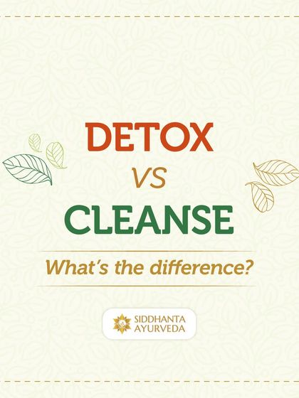 Siddhanta Ayurveda - Detox, Stress Relief & Rejuvenation Panchakarma: The Deep Detox Program photo 17