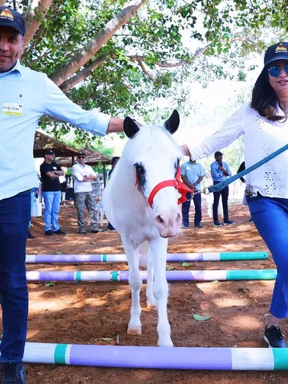 Participants in our Horse Leadership Program guide a pony over obstacles. This exercise is designed to build trust, non-verbal communication, and problem-solving skills within the team.