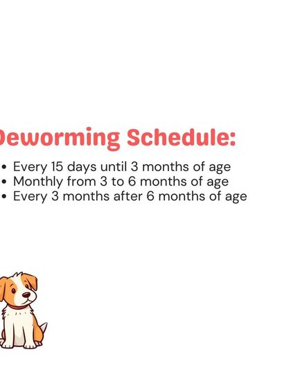 Woofly - Home Veterinary Services At-Home Vaccinations & Deworming photo 12