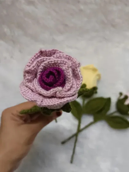 The lavender and purple dual-color rose is so unique and beautiful.