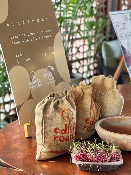 Our microgreens workshop setup, complete with starter kits in eco-friendly jute bags. We provide everything you need to begin your growing journey.