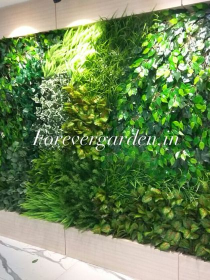Vertical Green Walls photo 21