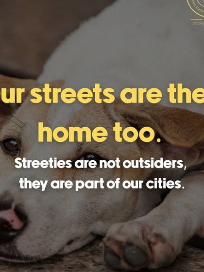 Oh My Dawg - Animal Welfare & Adoption Services Speaking for the Voiceless: Advocacy & Awareness photo 4