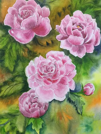 A watercolour painting of pink peonies. This piece focuses on building up layers of colour to create the soft, full petals of the flowers.