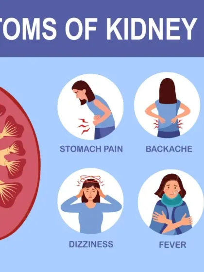 Recognizing the signs of kidney stones is the first step towards getting relief. This guide shows common symptoms like sharp back or stomach pain, fever, and changes in urination that you should not ignore. Early diagnosis helps in more effective non-surgical treatment.