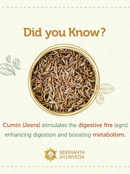 Siddhanta Ayurveda - Weight Management Restoring Digestive Health photo 3