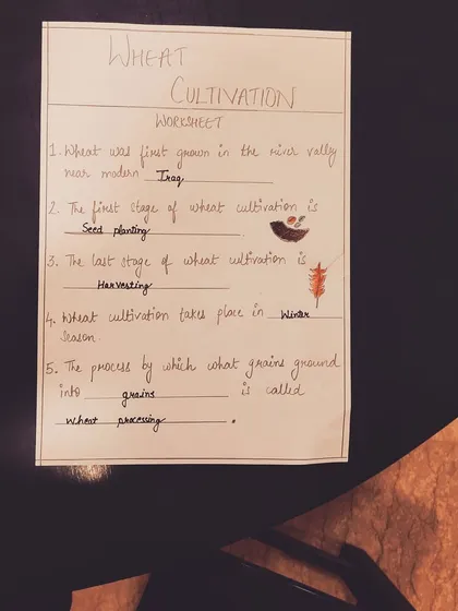 A fill-in-the-blanks worksheet about wheat cultivation, helping older children test their knowledge and reading comprehension.