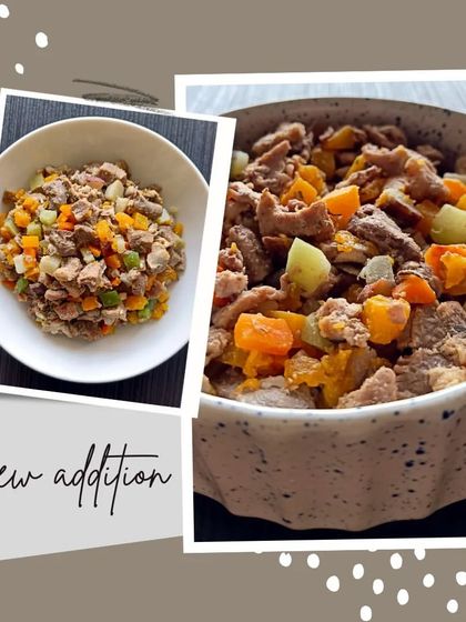 Hungry Eyes - Freshly Cooked Dog Meals A Look Inside the Bowl: Our Meal Menu photo 30