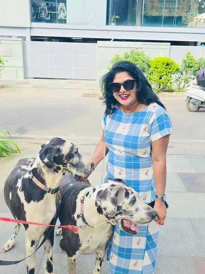 Yes, I can handle the big guys. Here I am with two beautiful Great Danes, ensuring even the largest breeds get a comfortable and safe ride across town.