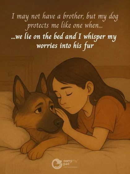 CarryMyPet - Pet Travel & Parenting Consultation The Heart of a Pet Parent photo 15