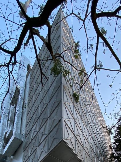 The facade of the MAP museum seen through the branches of a tree. We believe in designing with respect for the existing landscape, and this view highlights the dialogue between the built form and the natural elements of the site.