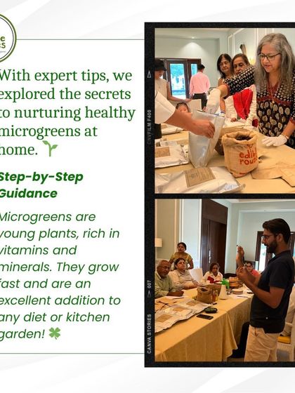 Our founder, Kapil, providing step-by-step guidance during a microgreens workshop at the DLF Golf & Country Club. We bring our workshops to corporate offices and communities too.