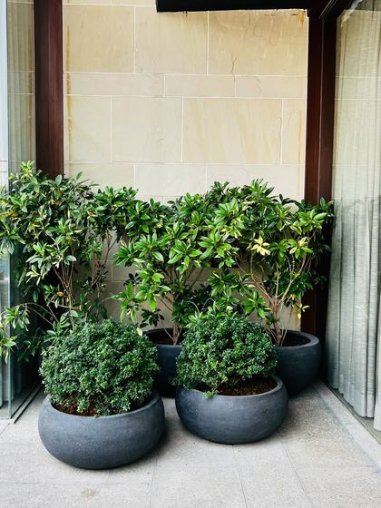 Poolside Retreats photo 15