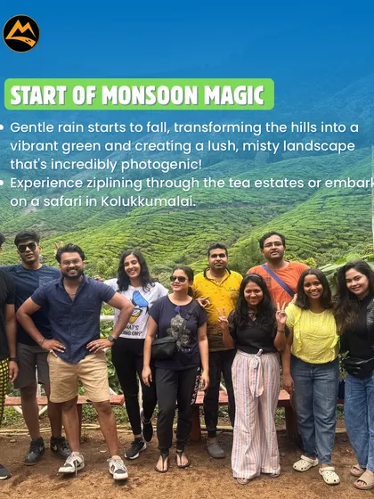 The start of monsoon magic in Munnar. I plan trips during May and June to catch the first rains transforming the hills into a vibrant green.