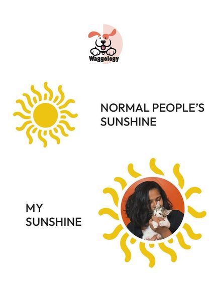 For a pet parent, their furry friend is their sunshine. This captures the special, heartwarming bond I know you share with your cat.