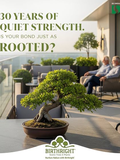 Some bonds are built on quiet strength and steady support, growing deeper over the years. A 30 year old bonsai perfectly represents this kind of rooted, enduring friendship.