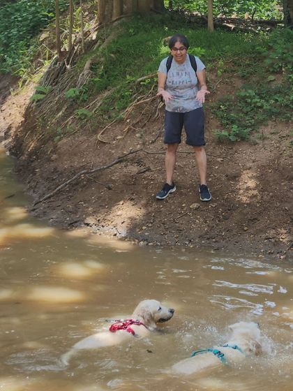 Deepthi - Dog Travel & Adventure Coaching Water Adventures: From Pools to Open Seas photo 20