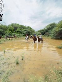 Horseback Trail Rides