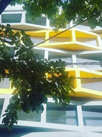 Landscape Design