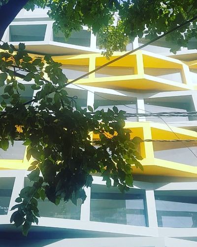 Landscape Design