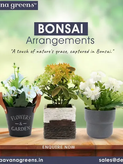 A touch of nature's grace, captured in Bonsai. This collection of three small arrangements shows the variety of styles we offer.