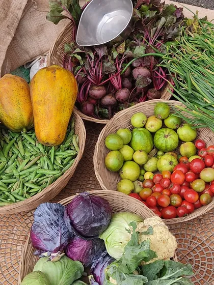 Baskets of colourful vegetables including papaya, beetroot, guava, tomatoes, and cabbage.