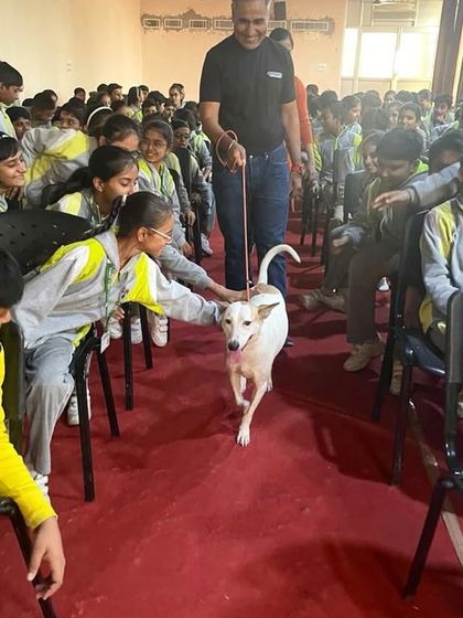 From Street to Sweet Home: Rescue Stories photo 8