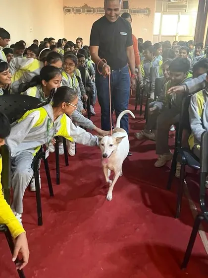 Rocky gently interacts with students, showing them how calm and loving rescue dogs can be. These educational sessions are part of our mission to promote animal welfare.