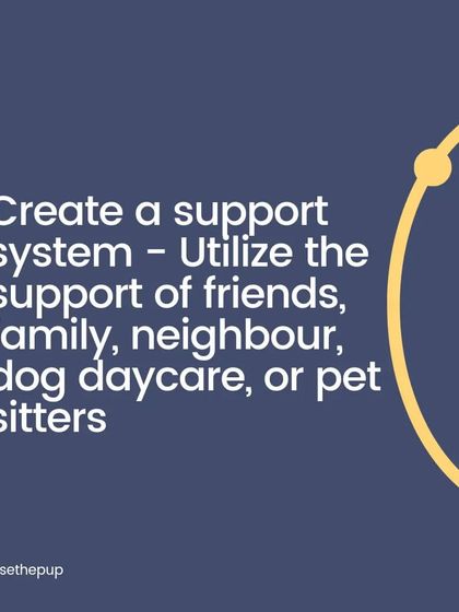 Create a support system. You cannot leave a dog with separation anxiety alone longer than they can handle. Utilize friends, family, doggy daycare, or pet sitters so your dog is never pushed over their threshold.