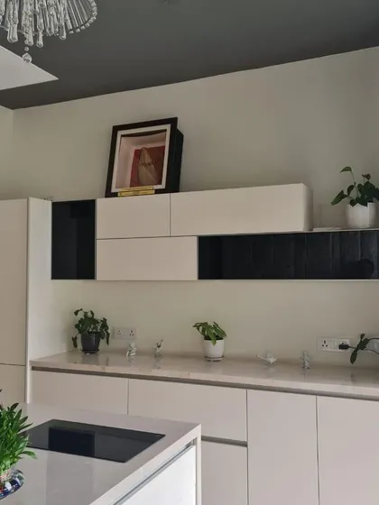 A detail shot of the minimalist kitchen, showing the clean lines of the white cabinetry and the subtle texture of the countertop. Small potted plants add a touch of life to the space.