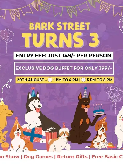 Bark Street turns 3! A poster for our anniversary celebration, complete with a dog buffet, fashion show, and games.