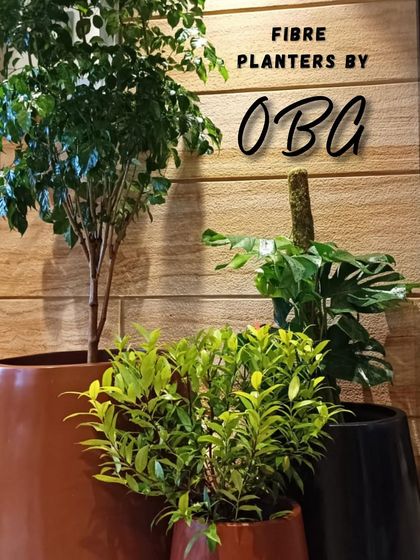 A trio of our custom fibre pots in earthy tones, perfectly complementing the wooden wall panels. We work with interior designers to ensure our products match their vision.