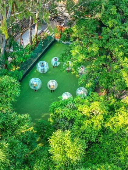 An aerial shot of the Bubble Soccer field, nestled in a clearing surrounded by dense, beautiful trees.