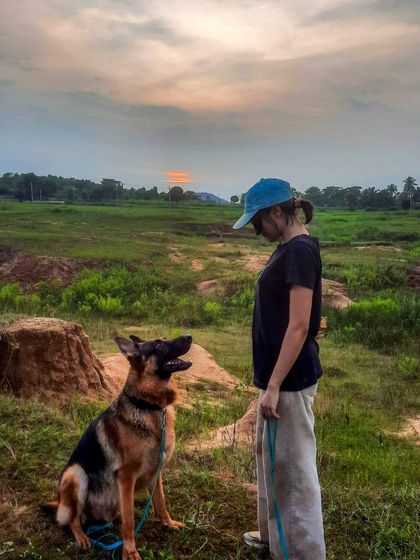 Just a girl and her German Shepherd against a beautiful sunset. Training him to hold a calm 'sit' in an open field like this is a result of consistent, positive practice.