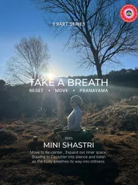 Holistic Yoga & Wellness Coaching
