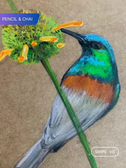Color brings a new dimension to your art. In our color pencil courses, we guide you through layering and blending techniques to create vibrant, lifelike artworks like this beautiful sunbird.