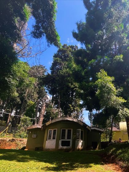 A cozy cottage nestled among the giant trees of the Cairn Hill forest. This is the kind of serene environment we seek.