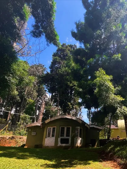 A cozy cottage nestled among the giant trees of the Cairn Hill forest. This is the kind of serene environment we seek.
