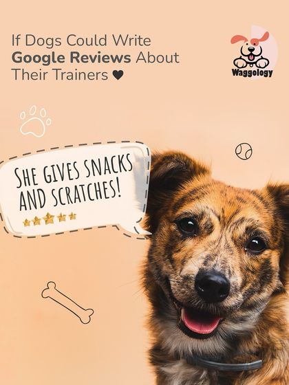 If dogs could write Google reviews, what would they say? This happy pup gives five stars for "snacks and scratches." It's a fun reminder that positive reinforcement is always a winner.