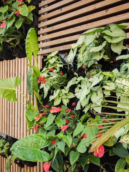 Cozy Balcony Makeovers photo 7