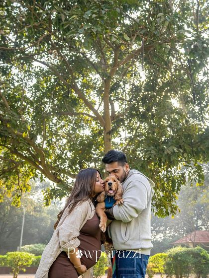 Pawparazzi By Prathima - Maternity & Newborn Photography with Pets Maternity: Celebrating the Bump with Your Best Bud photo 20