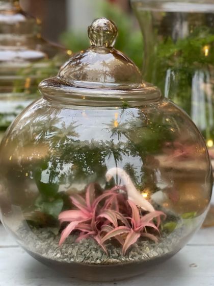 Greenhouse - Living Botanical Art & Arrangements Miniature Living Worlds photo 11