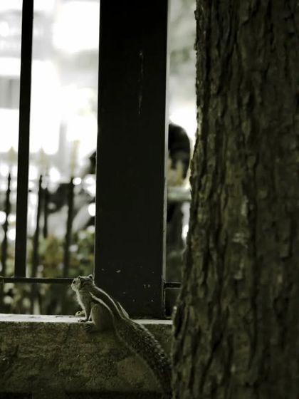 Zahid Moledina - Photography The World Up Close: Nature & Macro photo 10